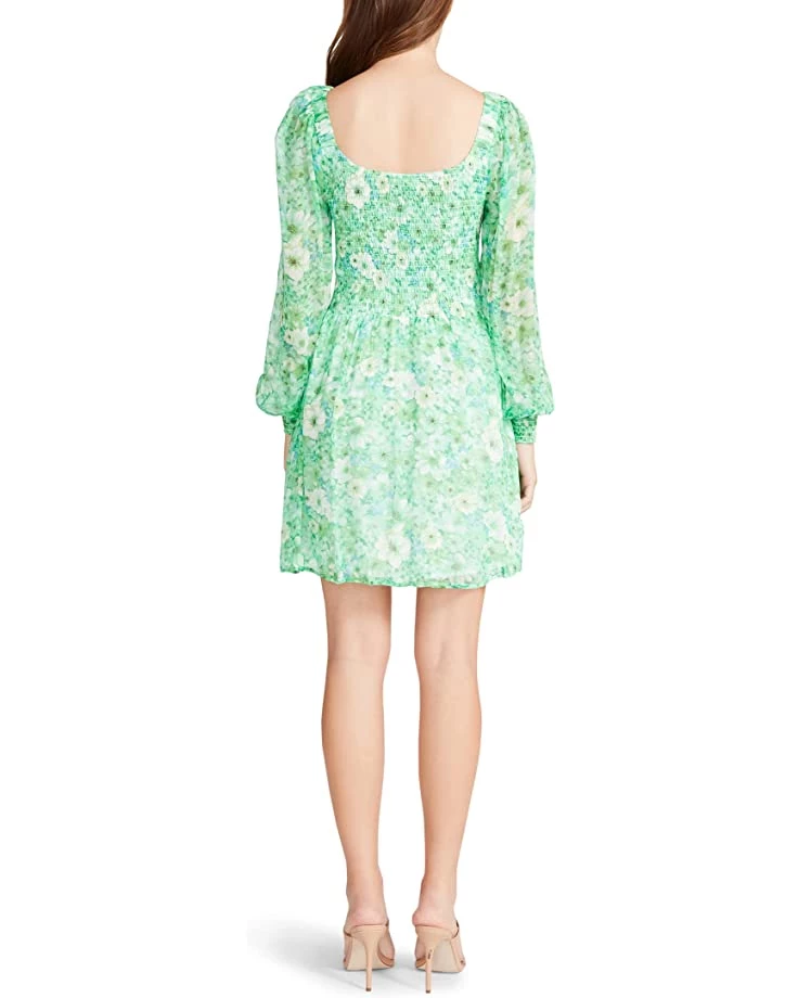 Steve Madden Dresses Color Me Lucky Dress - Image 2